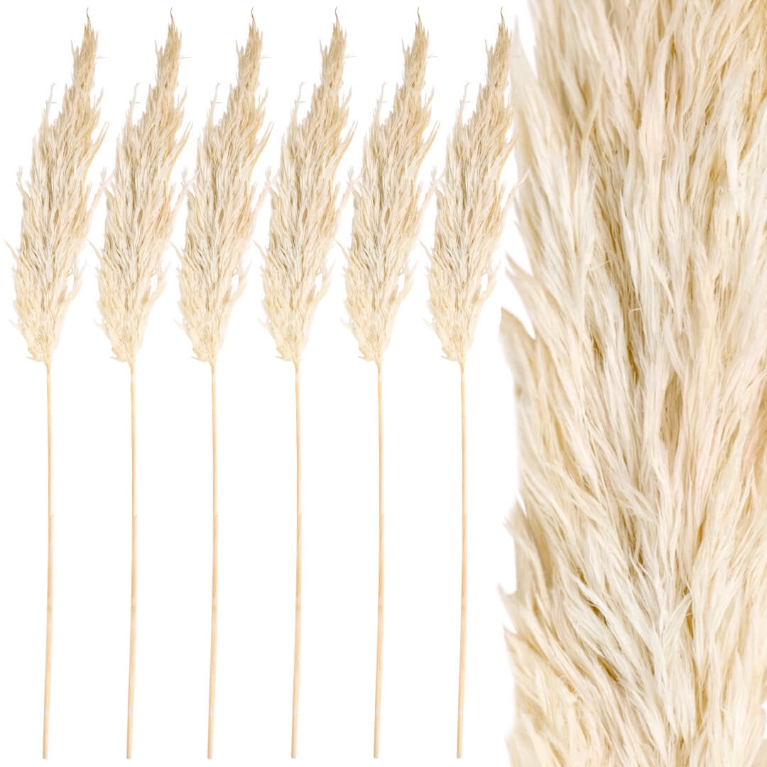 Koyal Wholesale Real Dried Pampas Grass Decor Plumes, 2832 Inches