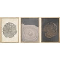 thumbnail image 2 of PixonSign Framed Canvas Print Wall Art Set - Pastel Wood Tree Ring Spirals Art - Set of 3 Nature Landscape Art Abstract Print Illustrations Minimalism Wall Décor - 12"x16"x3 Panels Natural, 2 of 5