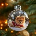 thumbnail image 4 of Hangs Animal 2D Flat Plate Transparent Handmade Winter Series Festival Seasonal Natural Acrylic Decorations, 4 of 4