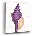 thumbnail image 2 of Epic Art 'Shimmering Shells 9'  by James Wiens Acrylic Glass Wall Art, 36" x 36", 2 of 8