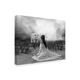 thumbnail image 2 of Trademark Fine Art 'White Wolf' Canvas Art by Ata Alishahi, 2 of 3