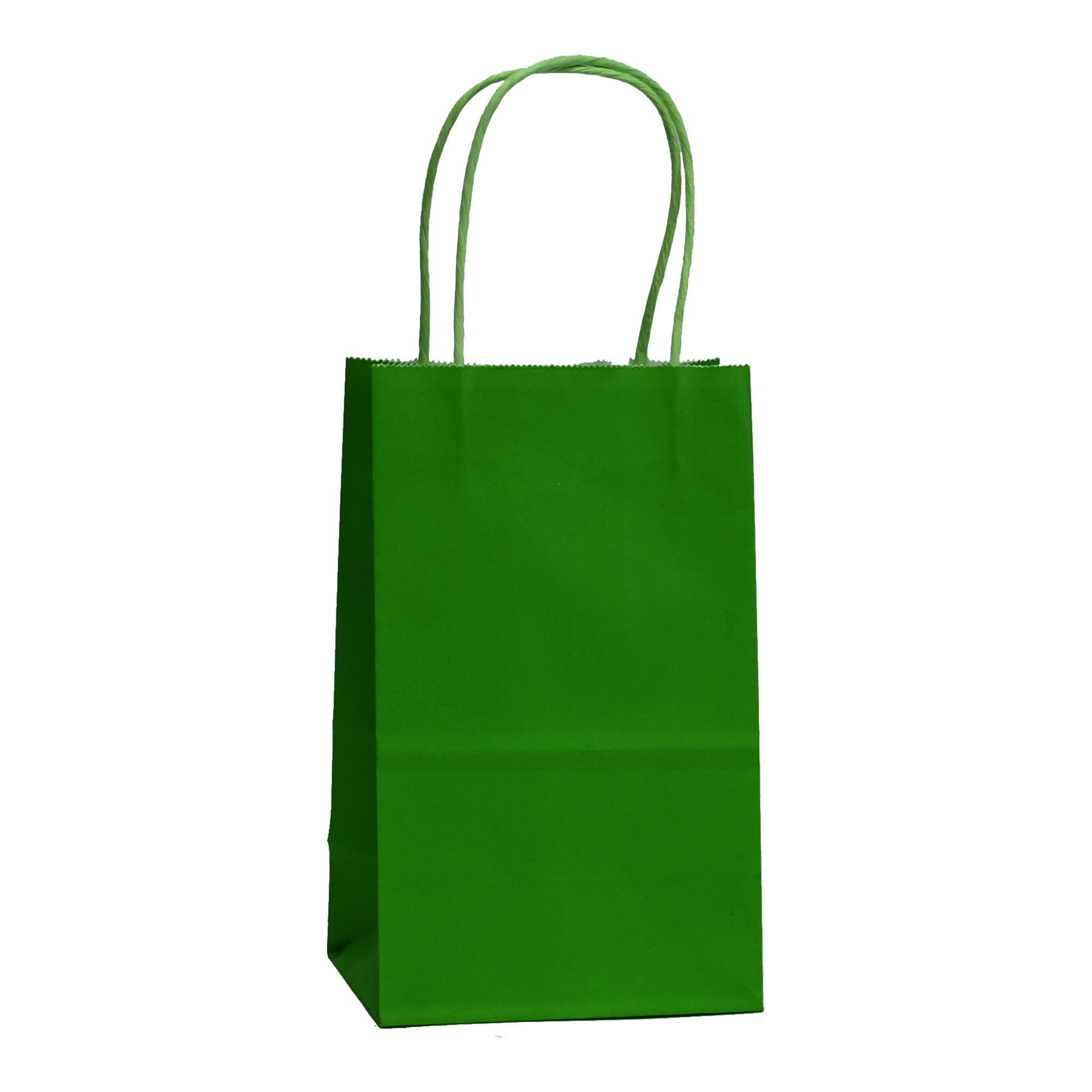12 CT Small Green Kraft Bags, Kraft Gift Bag, Food Safe