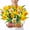 Daffodils, variant on Tulips Pop Up Card, 14.5x12 Inches Real Size Display 3D Greeting Card, Paper Flower Bouquet, Gift for Mothers Day, Birthday, Valentines Day, Anniversary, Includes Envelope & Message Note