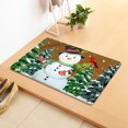 thumbnail image 2 of Ganfancp Felpudo de Navidad Felpudo de Cocina Felpudo de Dormitorio Felpudo de Salón Liquidación Ventas Hoy Ofertas Prime Un Felpudo., 2 of 3
