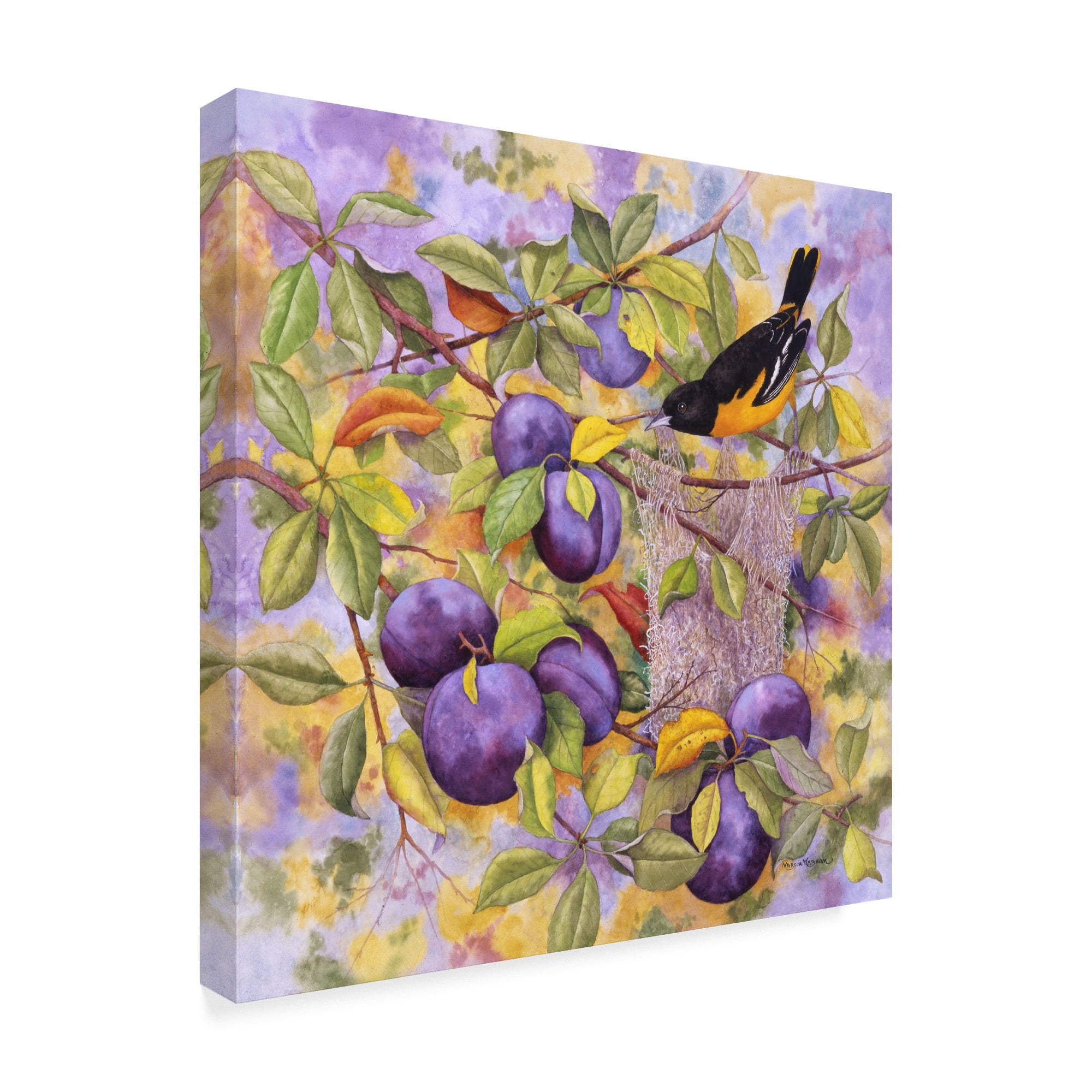 Trademark Fine Art 'Oriole And Plums' Canvas Art by Marcia Matcham