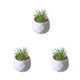thumbnail image 3 of Billuyoard Plantas suculentas artificiales Simulación Bonsai Fake Flower Potted Party Type1 NO1, 3 of 6
