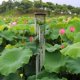 thumbnail image 4 of 18 tubos Wind Chime Yard Garden Outdoor Living Wind Chimes Decor (plateado) Ndcxsfigh Nuevos Originales, 4 of 7