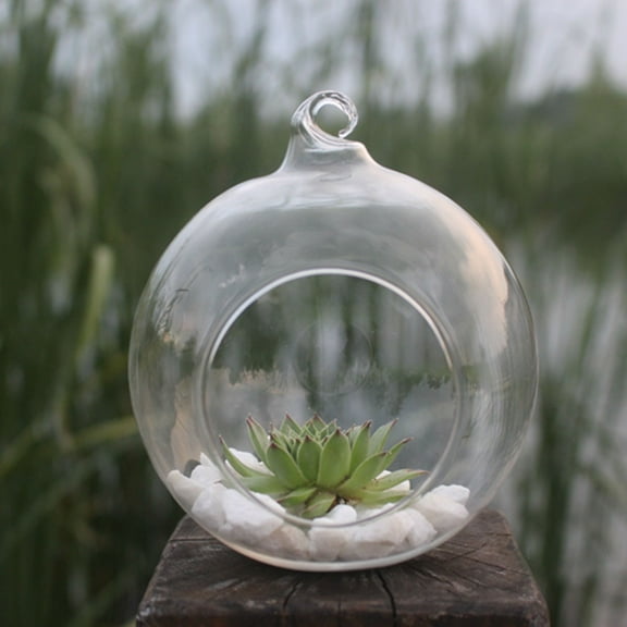 Ljxge Hanging Glass Vase Terrarium For Succulents Plants Home Wedding Decor Clear 80Mm
