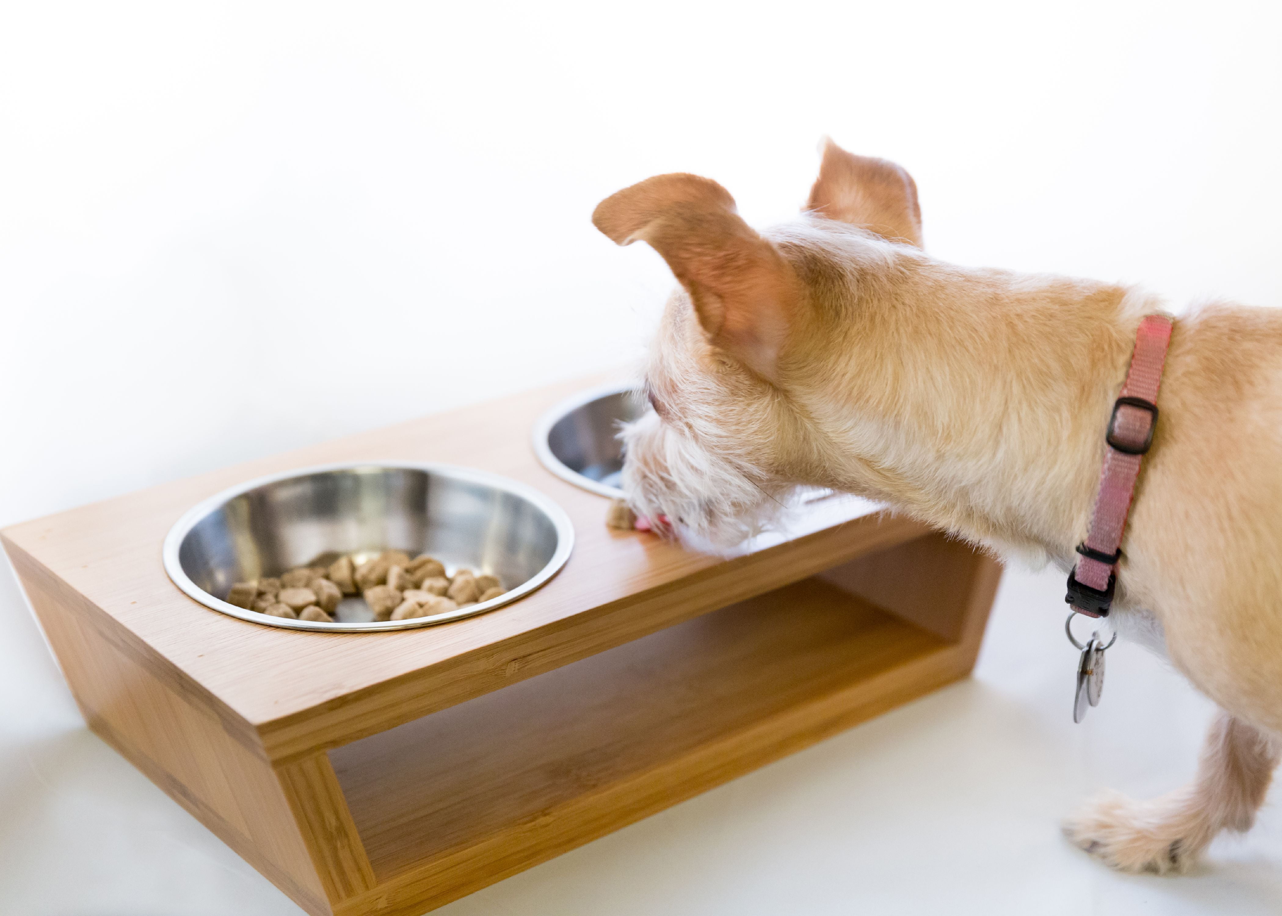 pawfect pets elevated pet feeder