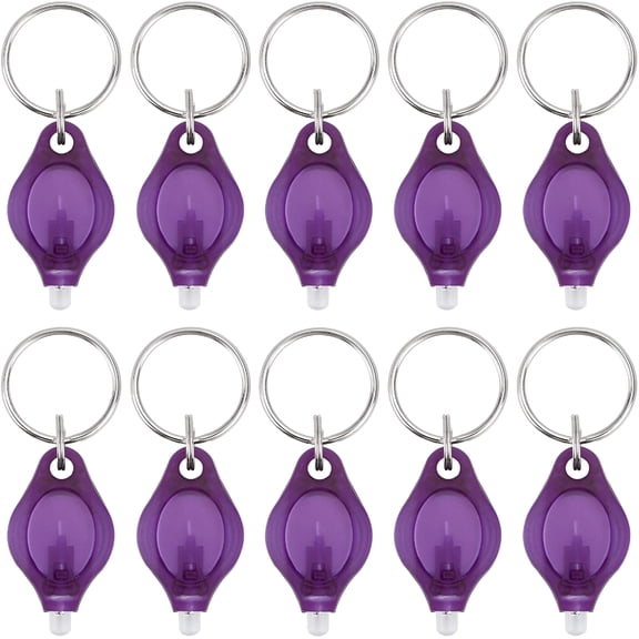HIBIBUD 10 packs UV Mini Keychain LED Flashlight Torch Light Lamp, Key Ring Light Torch, Black Light UV Flashlight UV Light, Ultraviolet Urine Detector for Dog