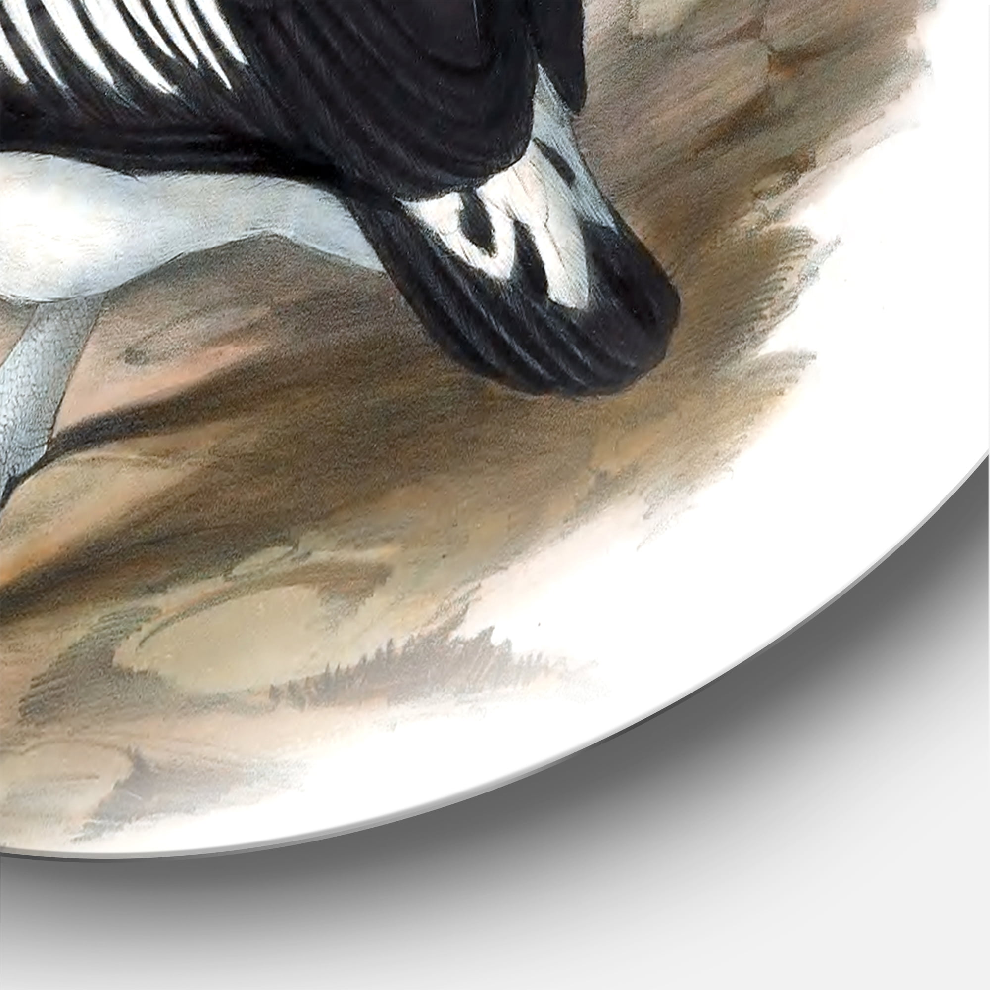 Designart 'Ancient Australian Birds VIII' Traditional Circle Metal Wall Art 29x29 - Disc of 29
