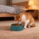 thumbnail image 5 of RKSTN Cat Bowls Round Plastic Pet Bowl, Plastic Pet Eating Bowl, Easy to Clean Cat Dog Eating Bowl Green, 5 of 6