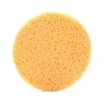 thumbnail image 1 of 50 Pcs Compressed Facial Sponge Face Cleaning Sponge Cosmetic Makeup Remover Sponge Reusable Facial Massage Sponge, 1 of 5