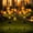 orange, variant on Maspost 7-Head Orange Solar Peony Flower Garden Stake Lights, LED Waterproof Outdoor Decorative Pathway Lights with Auto on/off for Yard Lawn Patio