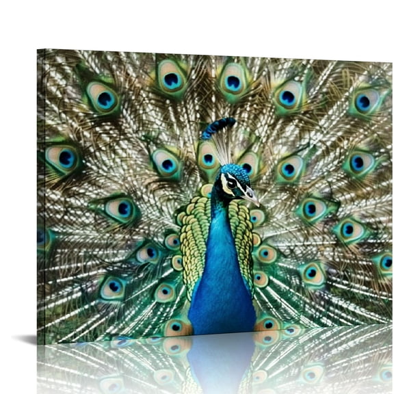 ONETECH Canvas Prints Wall Art - Peacock Showing Its Beautiful Feathers/Spreading Its Tail | Modern Wall Decor/Home Decoration Canvas Wrap Print & Ready to Hang