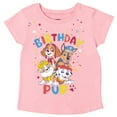 thumbnail image 2 of Paw Patrol Skye Chase Marshall Birthday Toddler Girls T-Shirt Toddler to Big Kid, 2 of 5