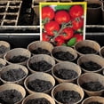 thumbnail image 3 of Biodegradable Pots, 50pcs Biodegradable Seedling Pot, Peat-free Fiber Pots, 3 of 5