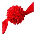 thumbnail image 4 of CIMAXIC Party 1 Set of Cloth Flower Ball Ceremony Ribbon-cutting Flower Ball Party Ribbon-cutting Flower Ball,78.74"X9.84"X7.87", 4 of 5