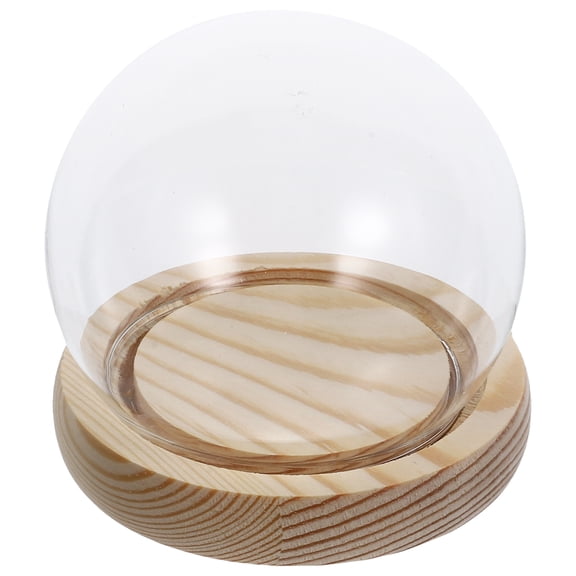 Guangmc Clear Glass Dome Cloche with Light and Eternal Flower Terrarium