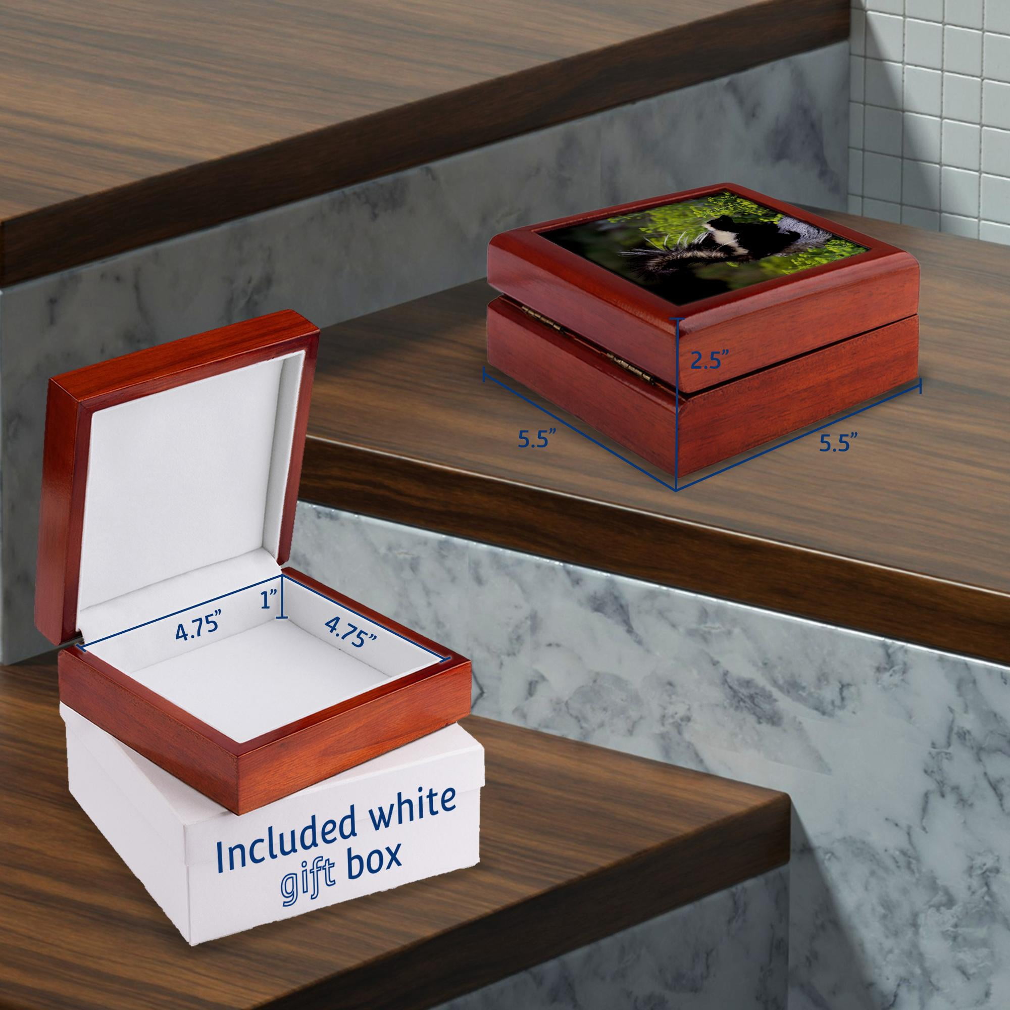 3dRose, North America, USA, Montana. Skunk wildlife - US27 TVE0004 - Tom Vezo, Jewelry Box 5.5x5.5 inch with 4 inch tile