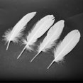 thumbnail image 2 of Feathers Goose Craft 100pcs for Party Hat Decorations 15-22cm, 2 of 5
