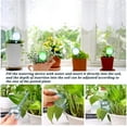 Automatic SelfWatering Bulbs, Garden Water Device Plant Clear Watering