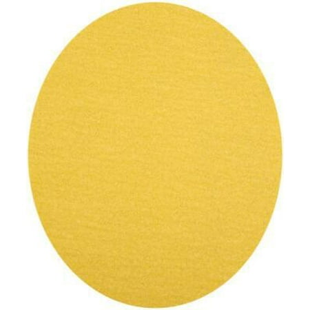 

Norton WallSand 9 in. Aluminum Oxide Hook and Loop Sanding Disc 80 Grit Coarse 1 pk