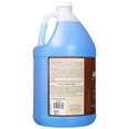 thumbnail image 3 of MODERN MASTERS PA904 1 Gallon Patine Rouille, 3 of 5