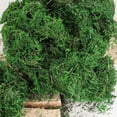thumbnail image 4 of Wosthever 300g Artificial musgo falso secado verde ladrillo liquen bloque plantas decorativas jardín centros de terrarios Decoración Plantas Artificiales, 4 of 6