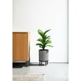 thumbnail image 5 of Veradek Demi Series Raised 12" Plastic-Stone Planter - (Gray/Black, 1 Pack), 5 of 9