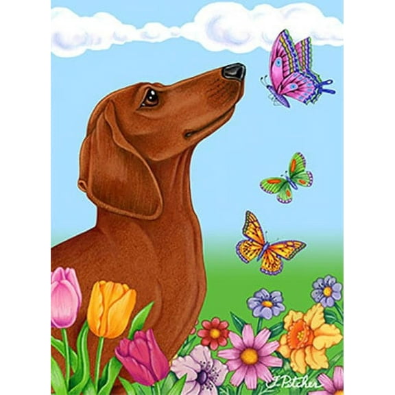 Dachshund Red - Best of Breed Butterfly Garden Flag