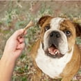 thumbnail image 2 of Nylabone Broth Bones Natural Dog Treats for Dogs, Bone Broth Dog Bones, Ham Flavor, For Small Dogs (20 Count), 2 of 10