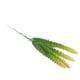 thumbnail image 3 of Cactus suculento artificial, Cactus artificial, Planta suculenta de plástico, Suculenta plástica, Planta verde, Flor artificial, Planta artificial, Cactus miniatura, Cactus plástico, 3 of 7