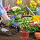 thumbnail image 1 of unbranded 10Jgo Jardineras Colgantes De Plástico Marrón Para Almacenamiento Y, 1 of 8