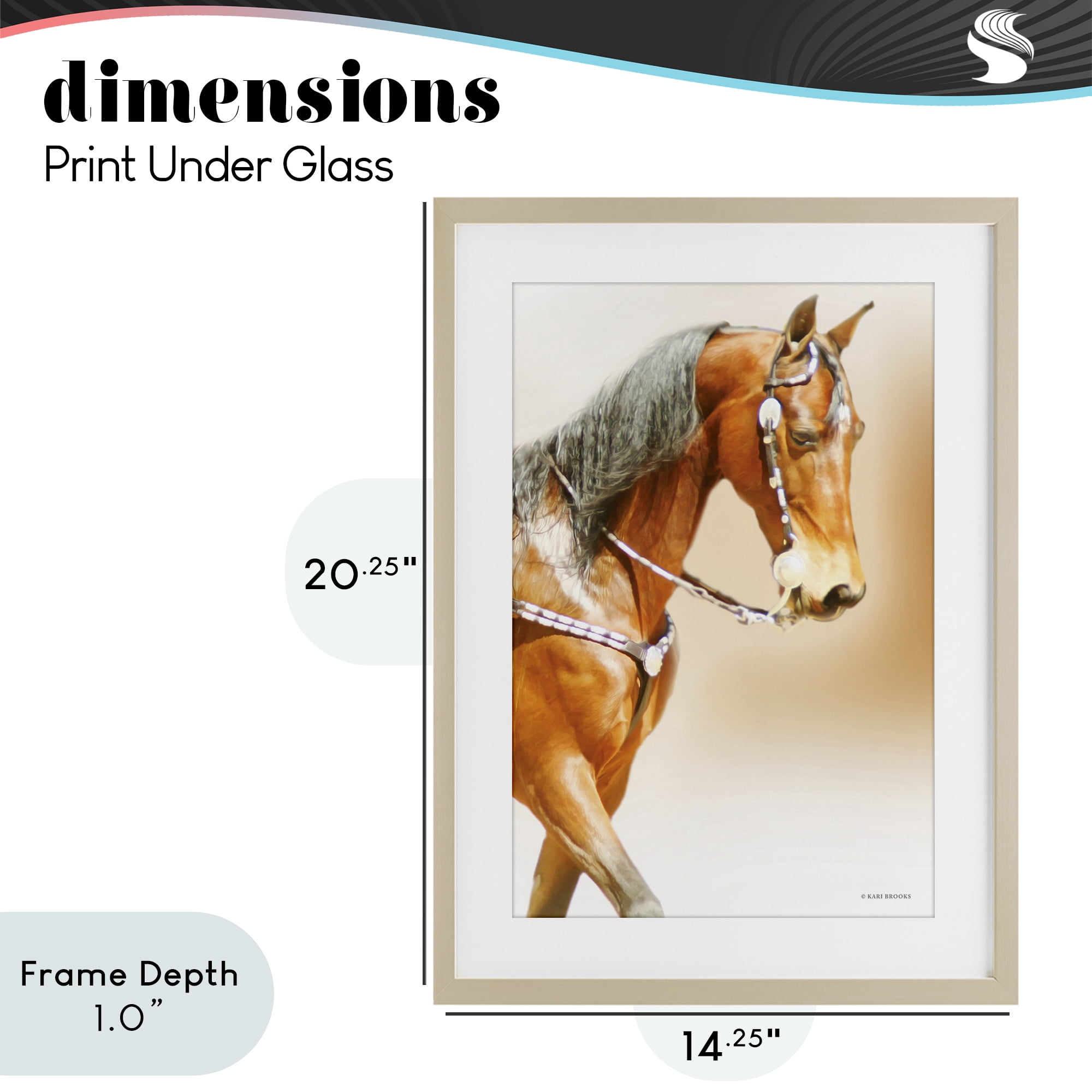 Stupell Industries Brown Majestic Horse Birch Framed Print Under Glass, design by Kari Brooks