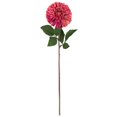 thumbnail image 1 of Vickerman FQ180603 Tige de 24 Po Mauve Zinnia, 1 of 2