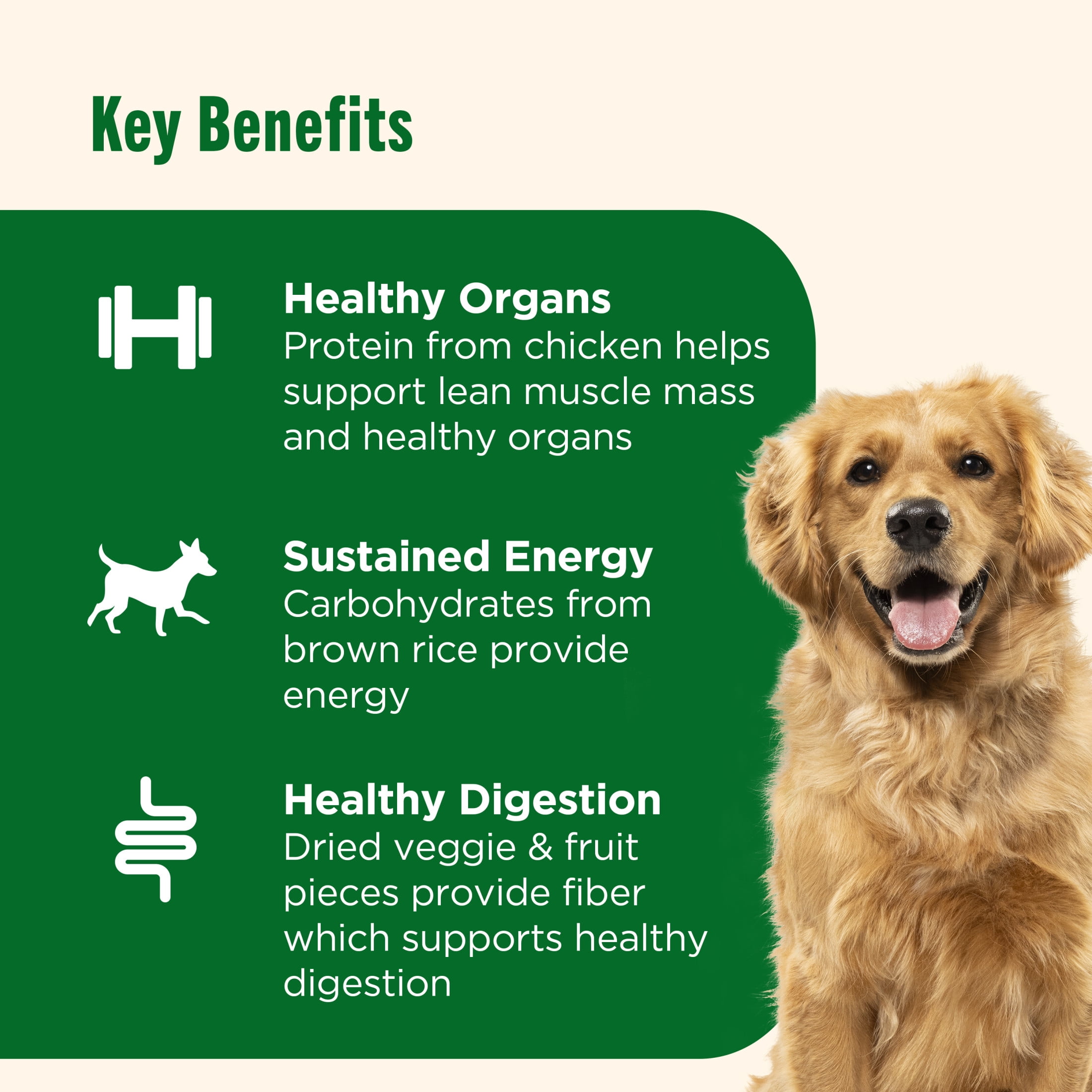 Nutrish Dish Chicken & Brown Rice Recipe with Veggie & Fruit Blend Dry Dog Food, 3.75 lb. Bag (Rachael Ray)
