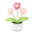 thumbnail image 1 of Handwoven Wool Crochet Puff Flower Pot: A Timeless,Low-maintenance Home Decor!, 1 of 10