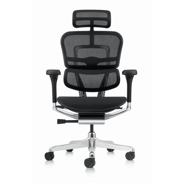 Silla Ergohuman Elite 2 Negro