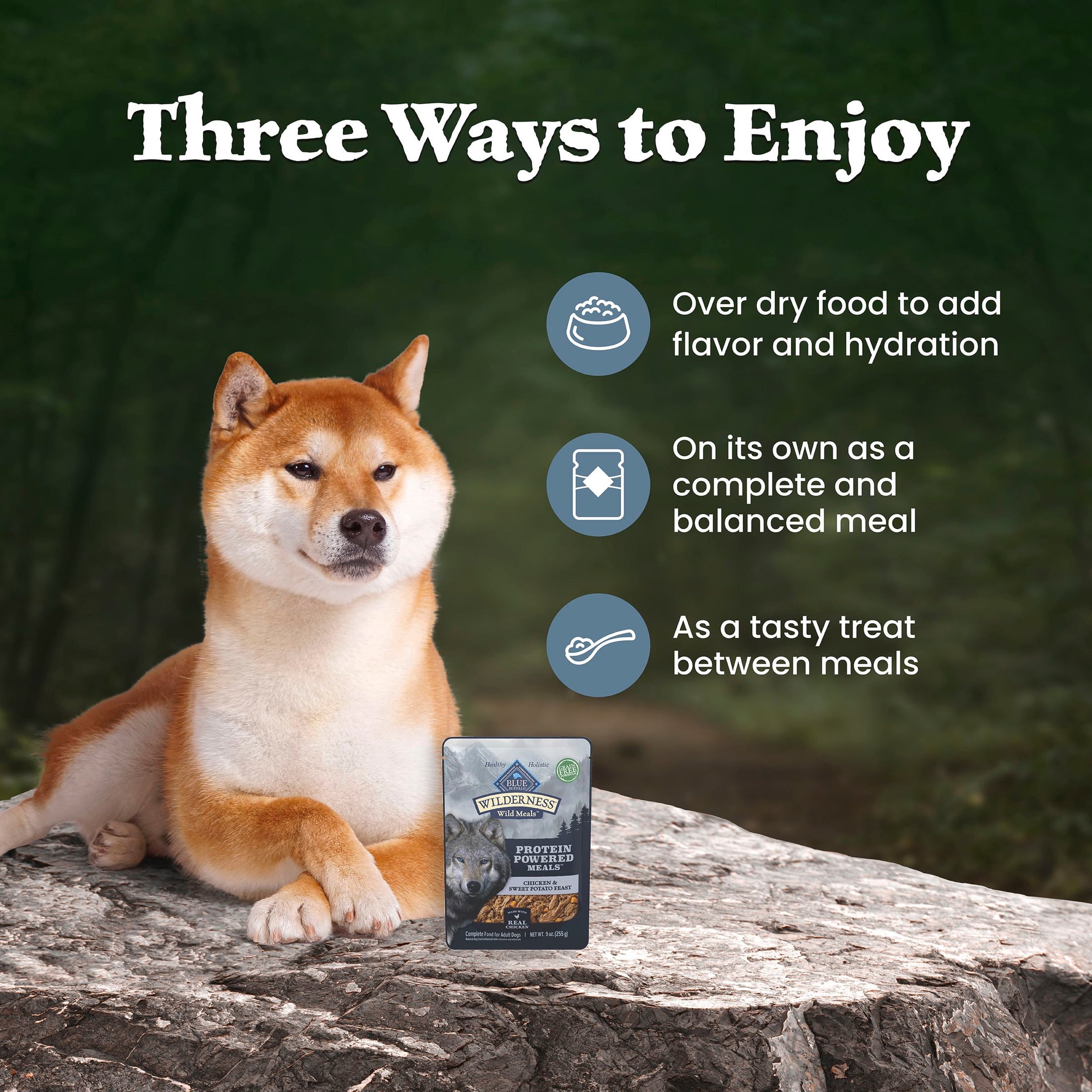 Blue Buffalo Wilderness Wild Meals, Chicken, High-Protein Adult Wet Dog Food, 9oz. Pouch