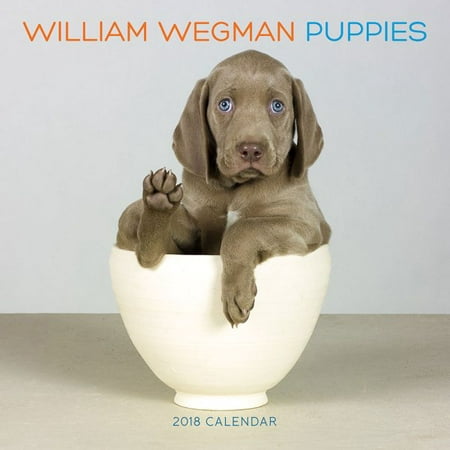 William Wegman Puppies 2018 Wall Calendar - Walmart.com