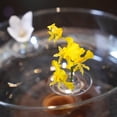 thumbnail image 4 of Dserhfy 10/20/30Pcs Floating Floral Arrangement Holder Clear Floating Flower Display Stand Hydroponics Water Planting Flower Bowl Stem Holder Decoration, 4 of 8