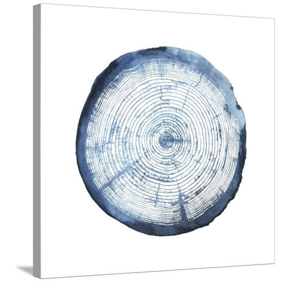Art.com Tree Ring Overlay I Stretched Canvas Print Wall Art by Grace Popp, 30" x 30"