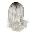 thumbnail image 1 of Women's Gray Short Wave Wig - 65cm High Temperature Silk - Adjustable Rose Net - Perfect for Daily Use & Festive Occasions, 1 of 6