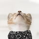 thumbnail image 3 of Collar bandana triangular ajustable de 3 piezas para perros, pañuelo bandana para mascotas, pañuelo bandana para perros, pañuelo para gatos y perros, pañuelo accesorio para mascotas, 3 of 5