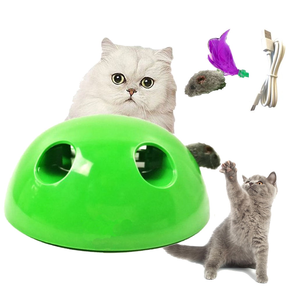 Pets Know Best Pop N Play Peek a Boo Cat Toy Green