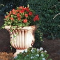 thumbnail image 3 of Brighter Blooms - Autumn Embers® Encore® Azalea Shrub, 1 gal - No Shipping to AK, AZ, HI, 3 of 6