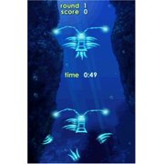Zenses: Ocean - Nintendo DS