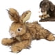 thumbnail image 5 of Juguete de Conejo para perros ANGGREK Juguete de Felpa masticable, 5 of 8