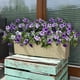 thumbnail image 5 of Enredadera artificial colgante para terraza exterior, decoración de paredes – Plantas plásticas realistas moradas, rojas y amarillas de 20,5", decoración de bodas exteriores interiores, follaje, 5 of 9
